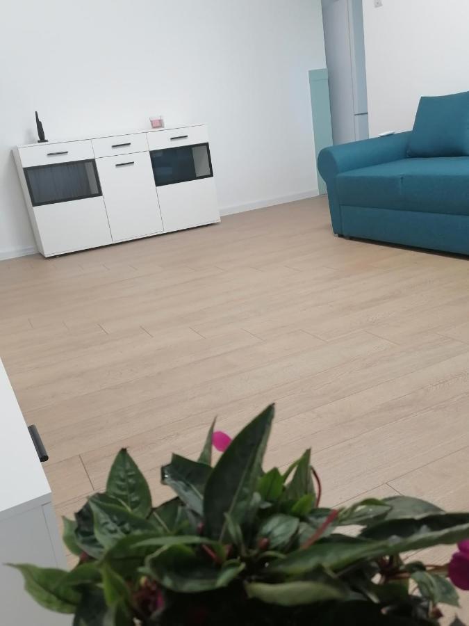 Apartament Locatia Perfecta In Centru Kluż-Napoka Zewnętrze zdjęcie